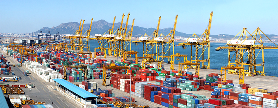 welcome大发系统-追求康健,你我一起生长