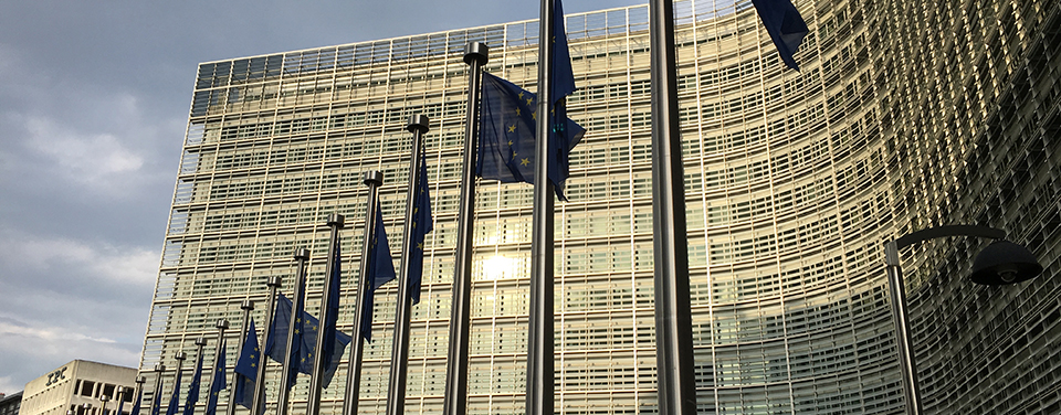 welcome大发系统-追求康健,你我一起生长