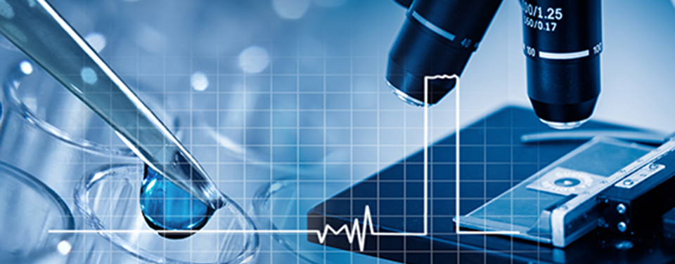 welcome大发系统-追求康健,你我一起生长