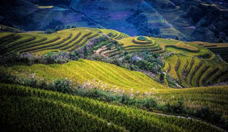 welcome大发系统-追求康健,你我一起生长