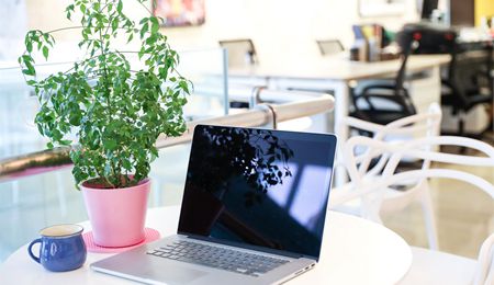 welcome大发系统-追求康健,你我一起生长