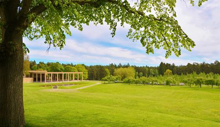 welcome大发系统-追求康健,你我一起生长