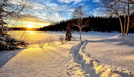 welcome大发系统-追求康健,你我一起生长