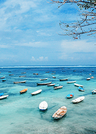 welcome大发系统-追求康健,你我一起生长