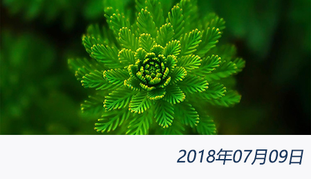 welcome大发系统-追求康健,你我一起生长