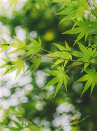 welcome大发系统-追求康健,你我一起生长