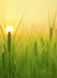 welcome大发系统-追求康健,你我一起生长