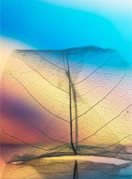 welcome大发系统-追求康健,你我一起生长