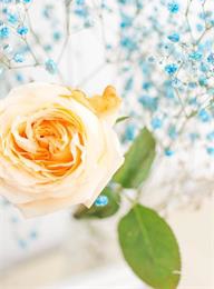 welcome大发系统-追求康健,你我一起生长