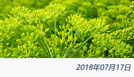 welcome大发系统-追求康健,你我一起生长