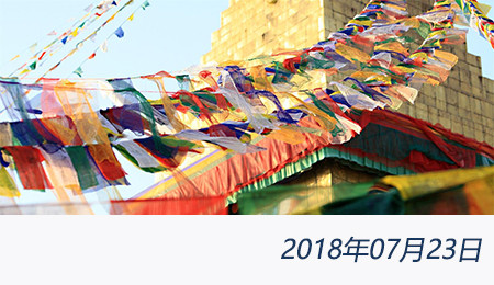 welcome大发系统-追求康健,你我一起生长