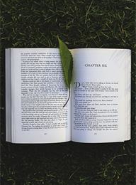 welcome大发系统-追求康健,你我一起生长