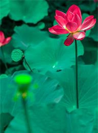 welcome大发系统-追求康健,你我一起生长