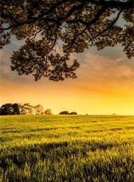 welcome大发系统-追求康健,你我一起生长