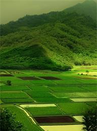 welcome大发系统-追求康健,你我一起生长