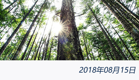 welcome大发系统-追求康健,你我一起生长