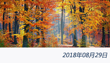 welcome大发系统-追求康健,你我一起生长