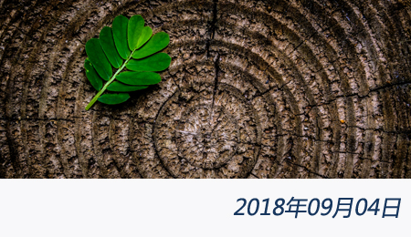 welcome大发系统-追求康健,你我一起生长