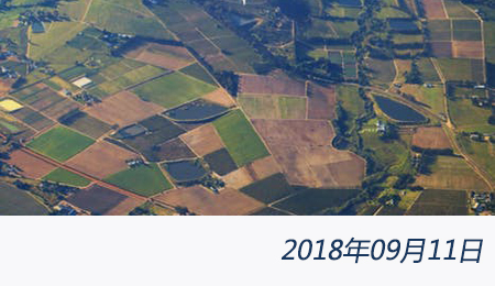 welcome大发系统-追求康健,你我一起生长