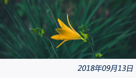 welcome大发系统-追求康健,你我一起生长