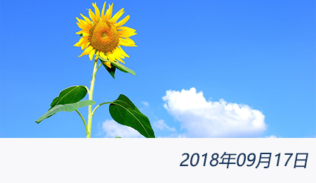 welcome大发系统-追求康健,你我一起生长