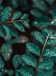 welcome大发系统-追求康健,你我一起生长