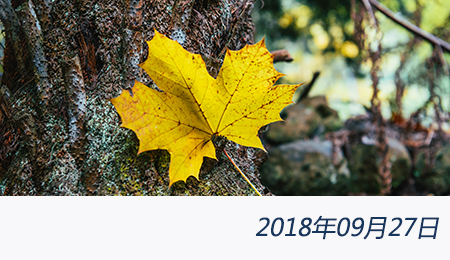 welcome大发系统-追求康健,你我一起生长