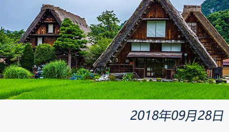 welcome大发系统-追求康健,你我一起生长