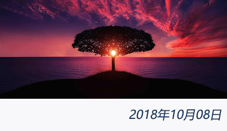 welcome大发系统-追求康健,你我一起生长