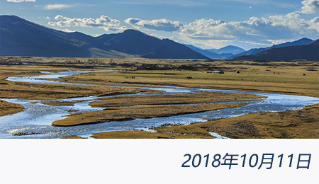 welcome大发系统-追求康健,你我一起生长