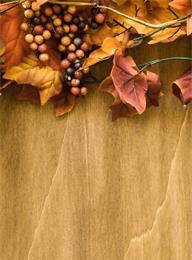 welcome大发系统-追求康健,你我一起生长