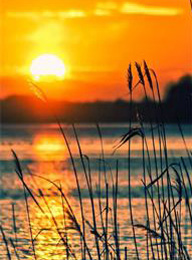 welcome大发系统-追求康健,你我一起生长