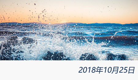 welcome大发系统-追求康健,你我一起生长