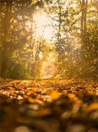 welcome大发系统-追求康健,你我一起生长