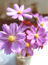 welcome大发系统-追求康健,你我一起生长