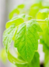 welcome大发系统-追求康健,你我一起生长