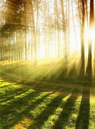 welcome大发系统-追求康健,你我一起生长