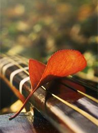 welcome大发系统-追求康健,你我一起生长