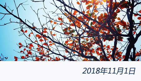 welcome大发系统-追求康健,你我一起生长