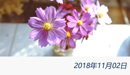 welcome大发系统-追求康健,你我一起生长