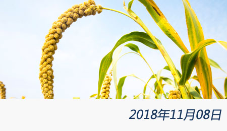 welcome大发系统-追求康健,你我一起生长