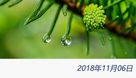 welcome大发系统-追求康健,你我一起生长