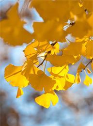 welcome大发系统-追求康健,你我一起生长