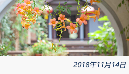 welcome大发系统-追求康健,你我一起生长