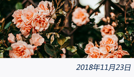 welcome大发系统-追求康健,你我一起生长