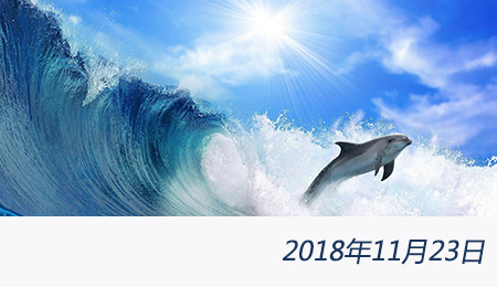 welcome大发系统-追求康健,你我一起生长