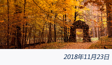 welcome大发系统-追求康健,你我一起生长