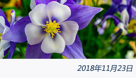 welcome大发系统-追求康健,你我一起生长