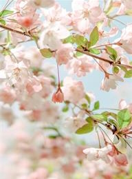 welcome大发系统-追求康健,你我一起生长