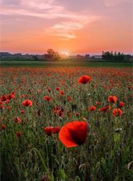 welcome大发系统-追求康健,你我一起生长